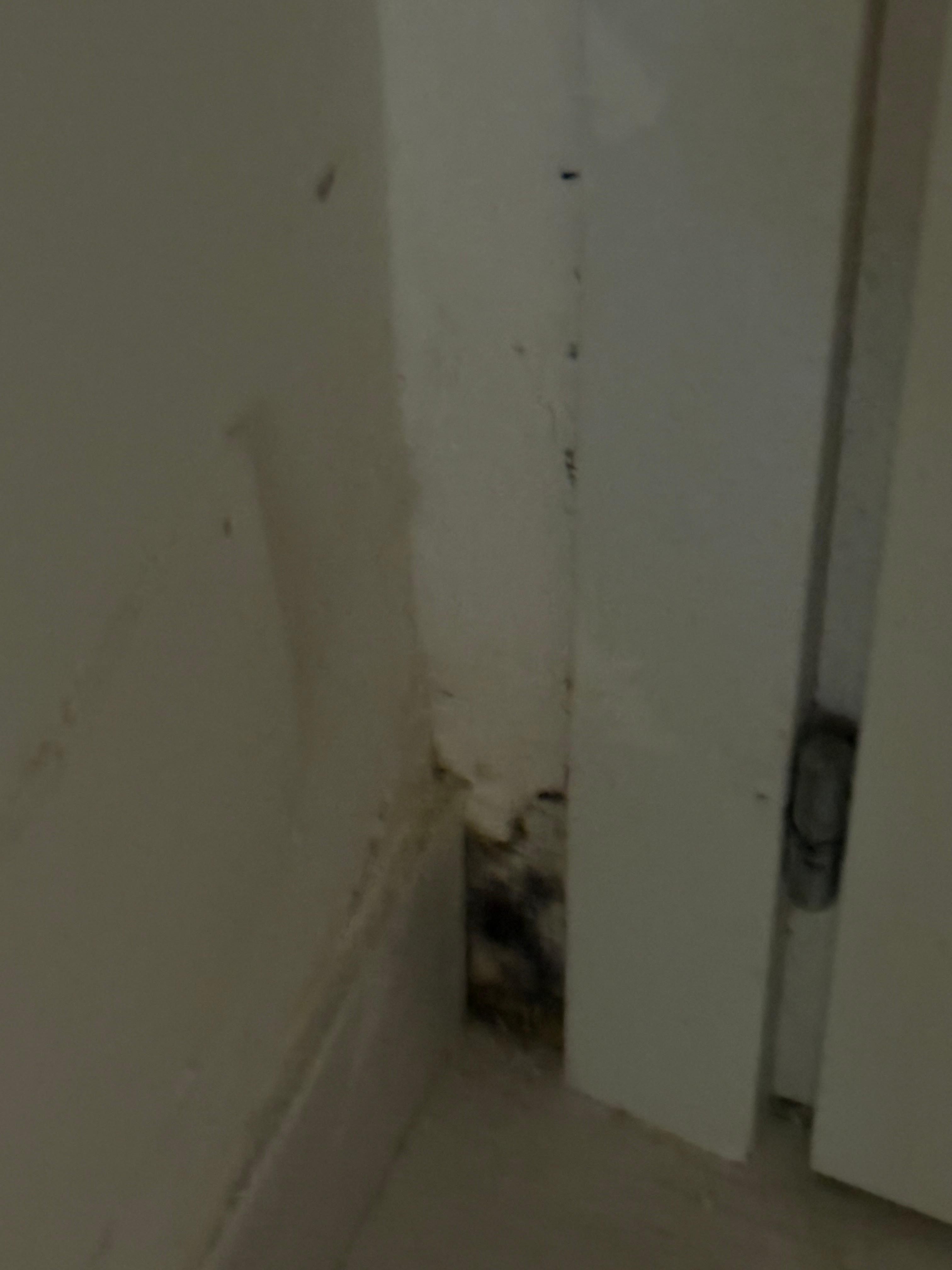 Molding corners