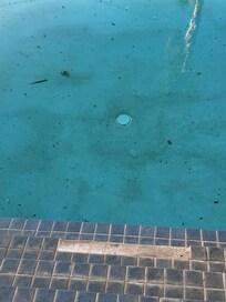 Cups inside the pool