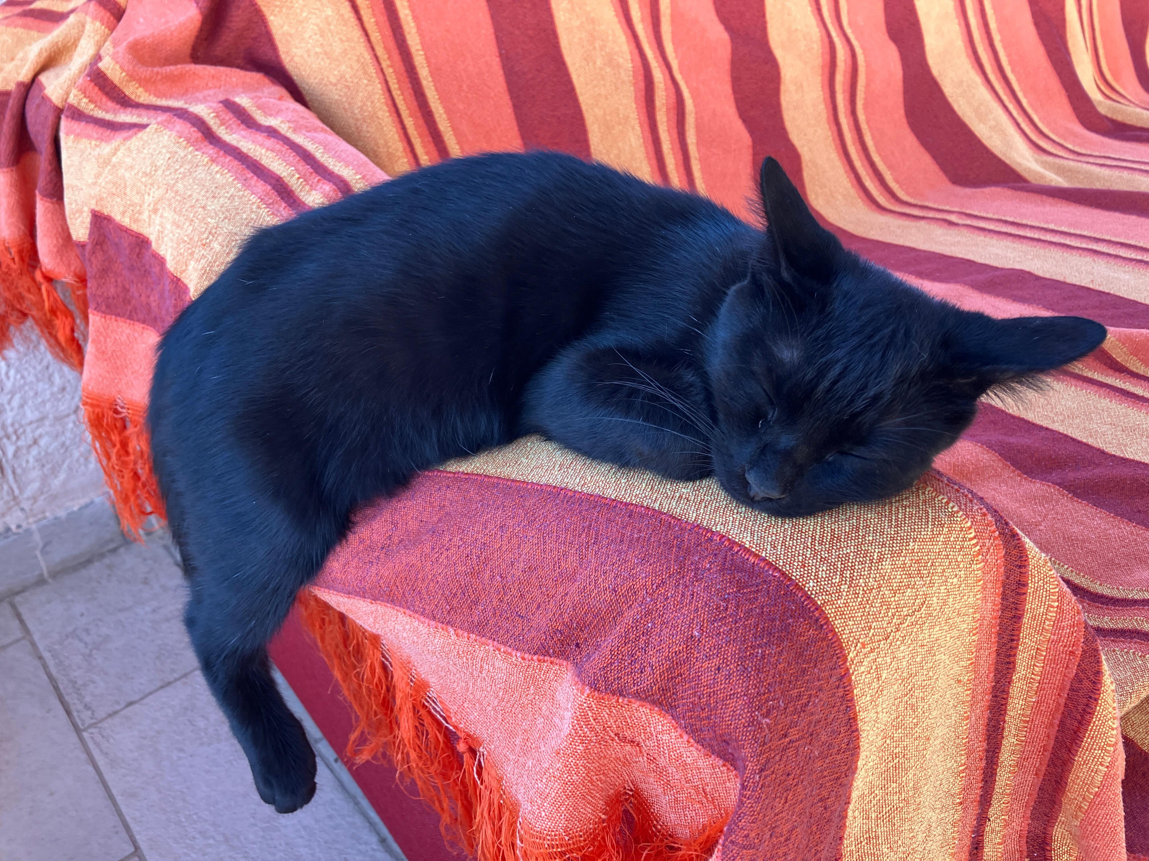 Sie hat sich bei uns wohl gefühlt