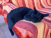 Sie hat sich bei uns wohl gefühlt