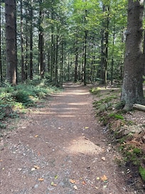 Natur