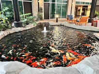 The koi pond in the lobby