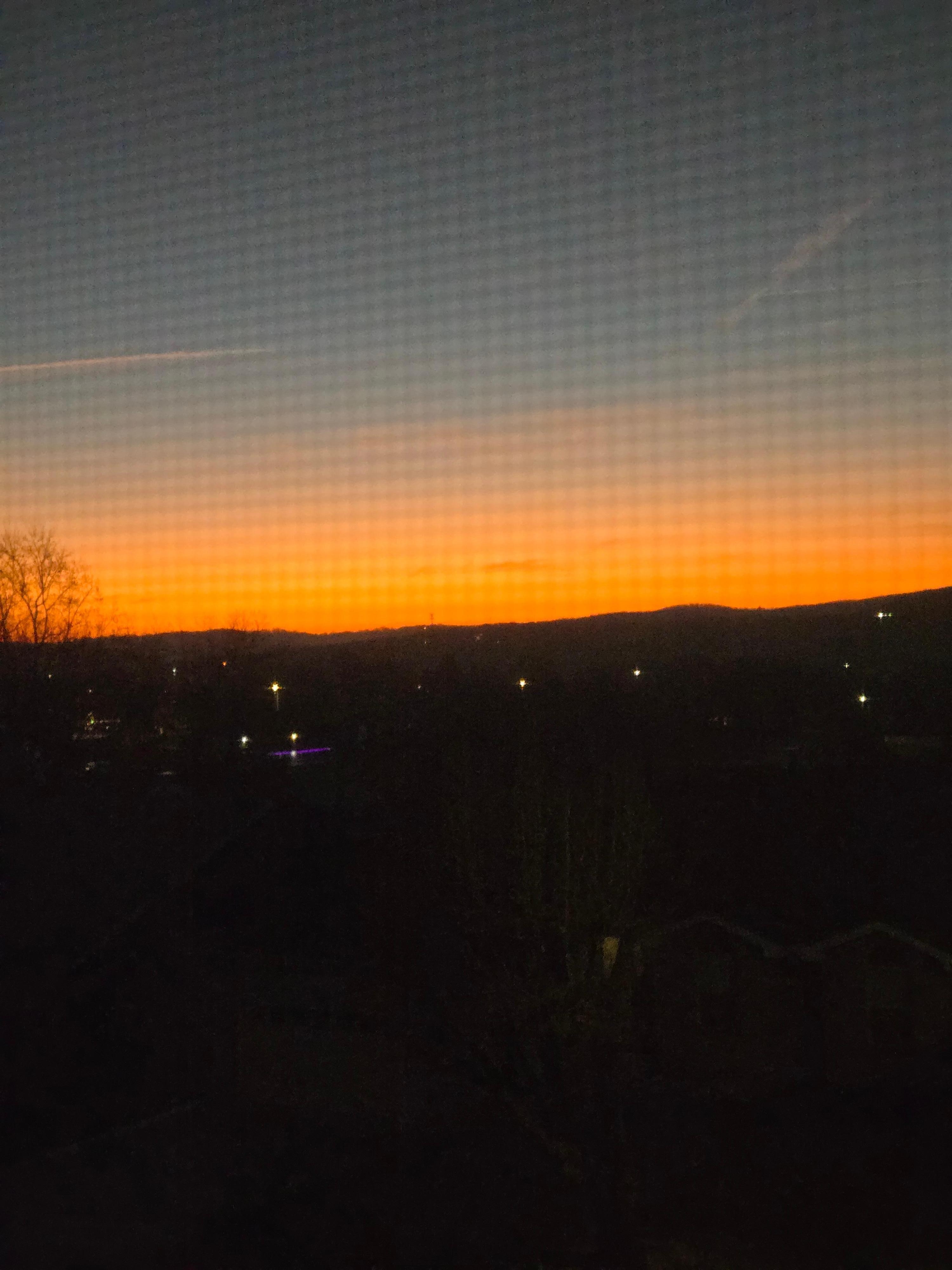 View out the bedroom widow. 