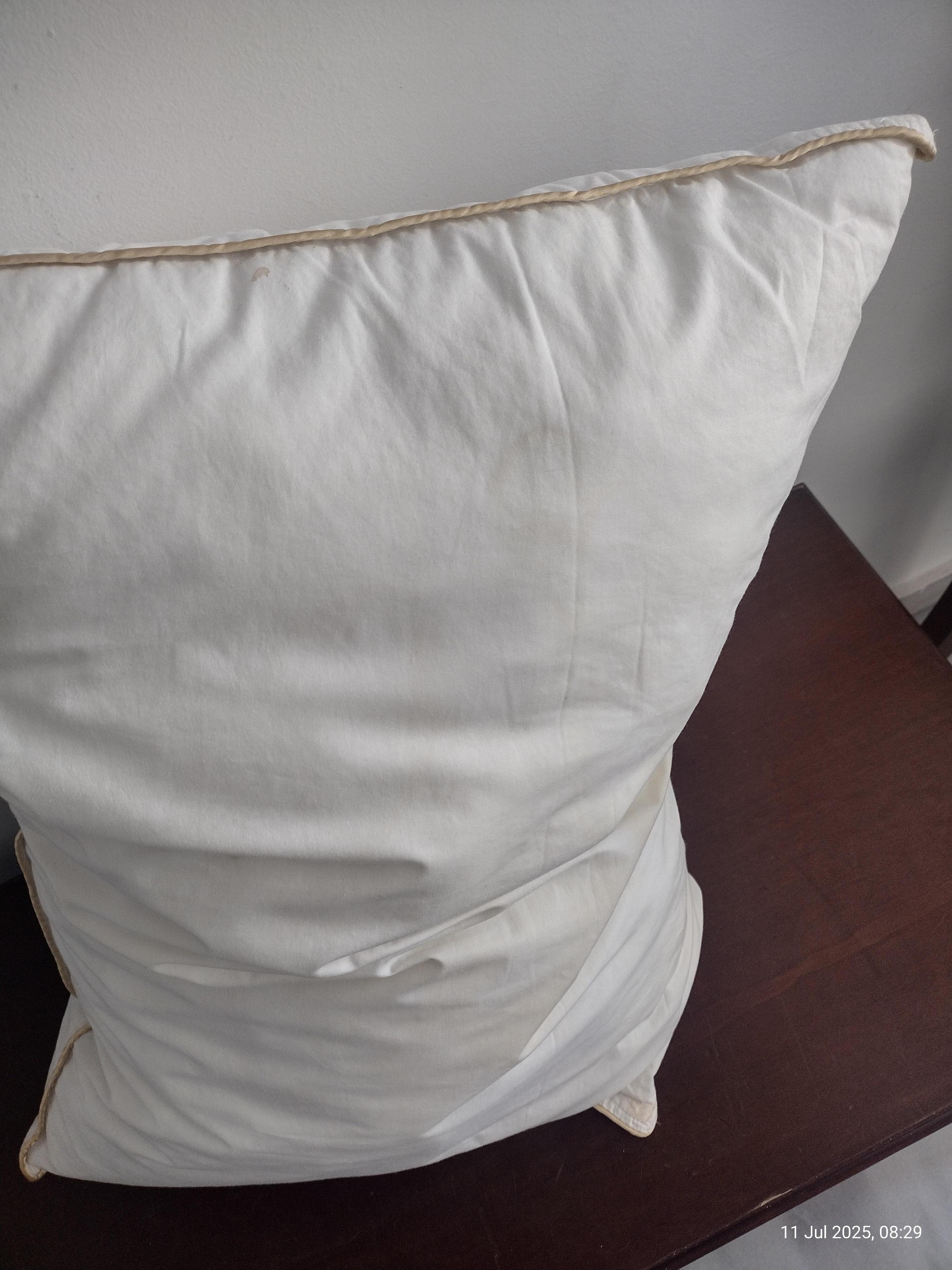 Stained pillow, no cover 