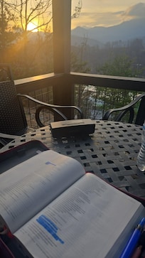 Morning view