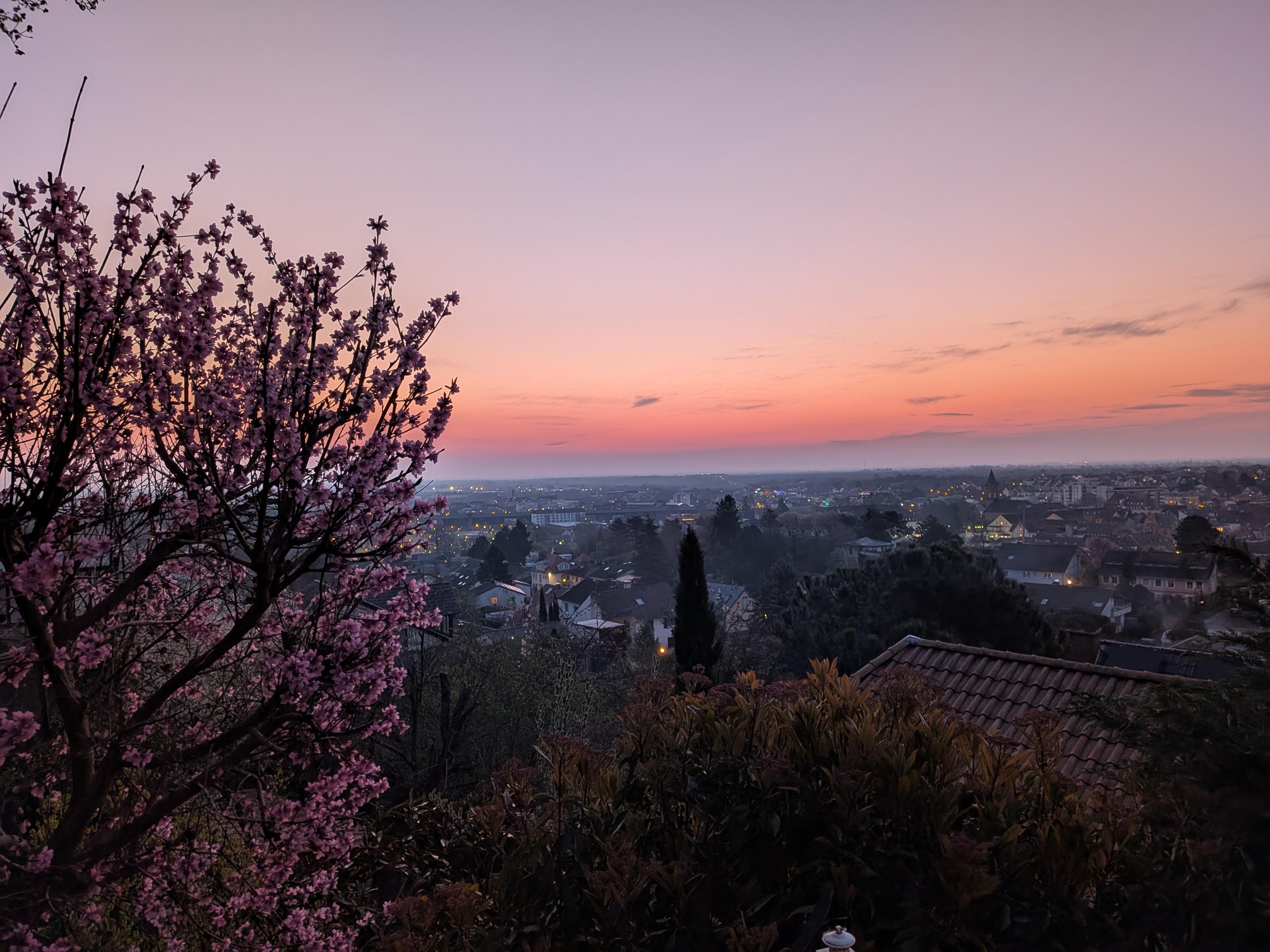 Morgenröte von der oberen Terrasse