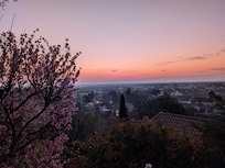 Morgenröte von der oberen Terrasse