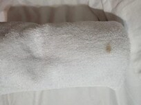 This was how the towel was laying on the guest bed. I didn't touch it.