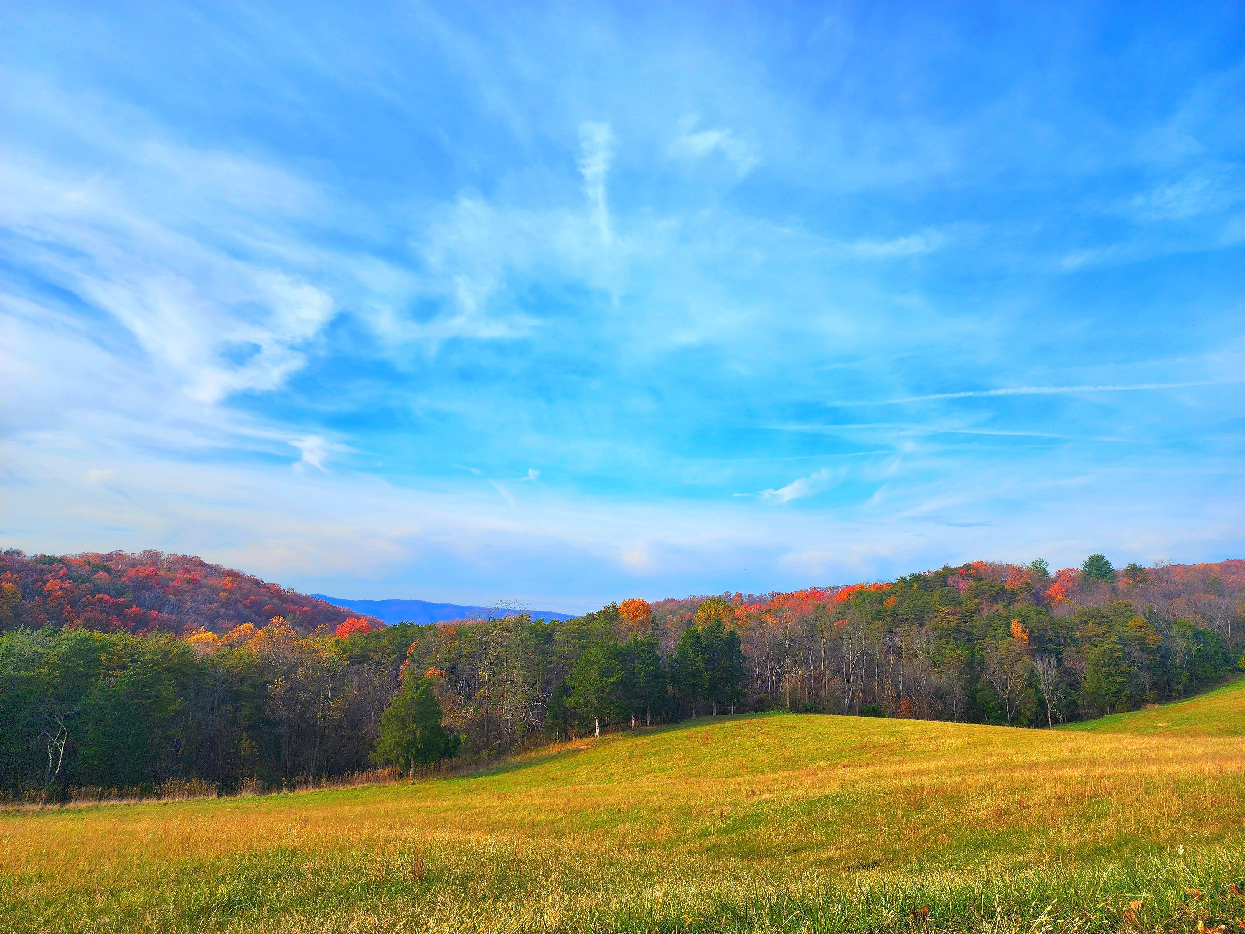 View on the road up to the cabin 
