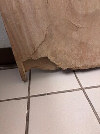 Rotting broken bathroom door in a “renovated “ room