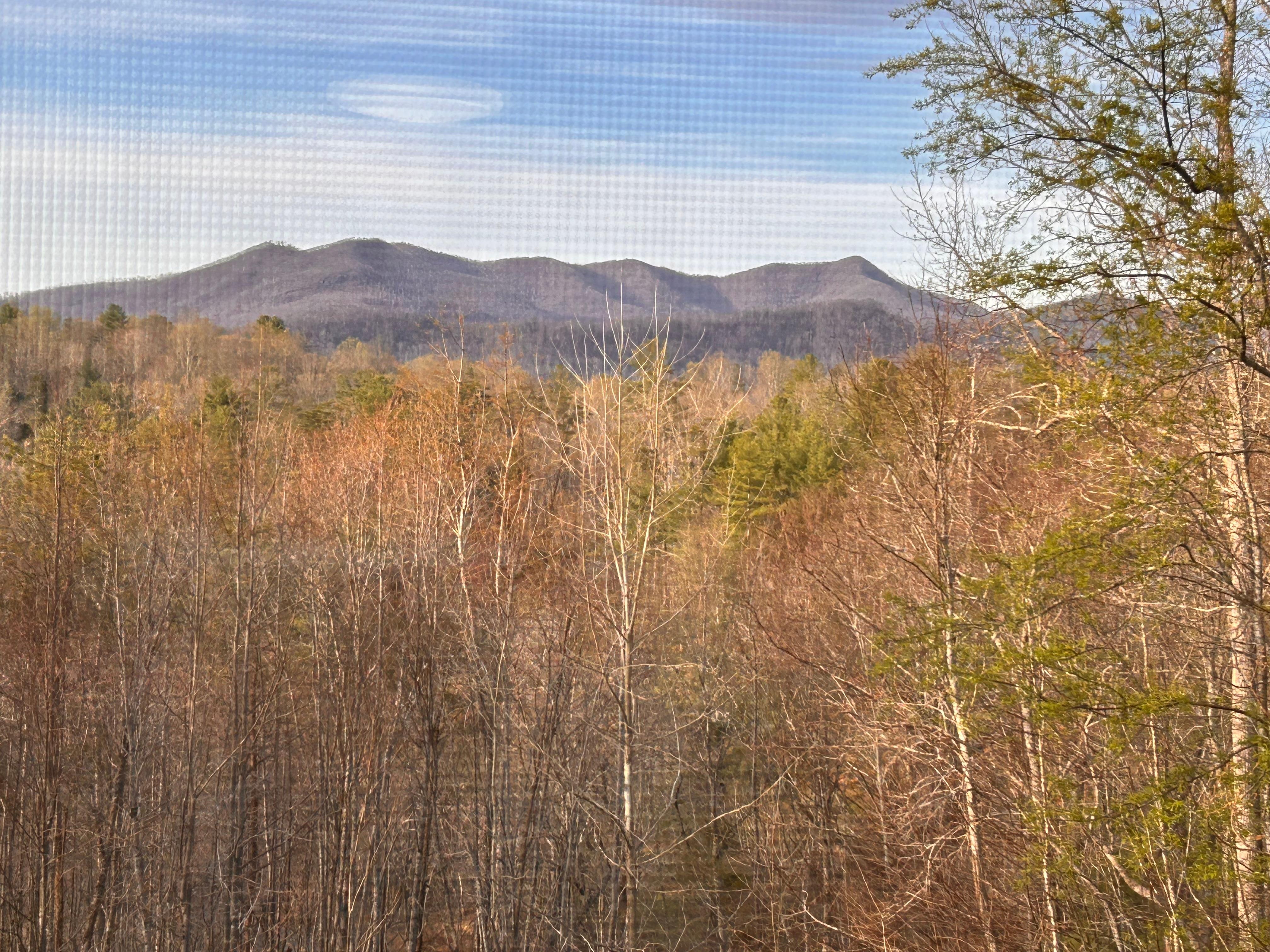 The view from the downstairs living room. 