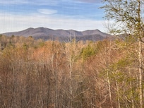 The view from the downstairs living room.