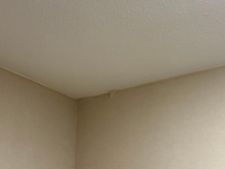 Ceiling damage