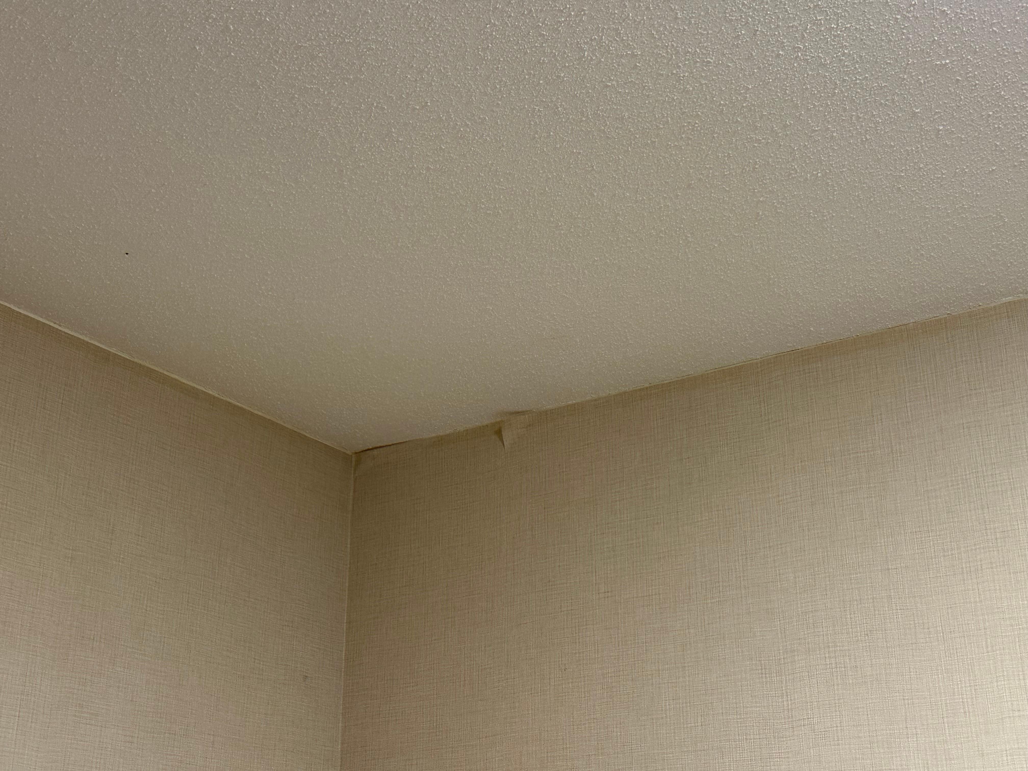 Ceiling damage