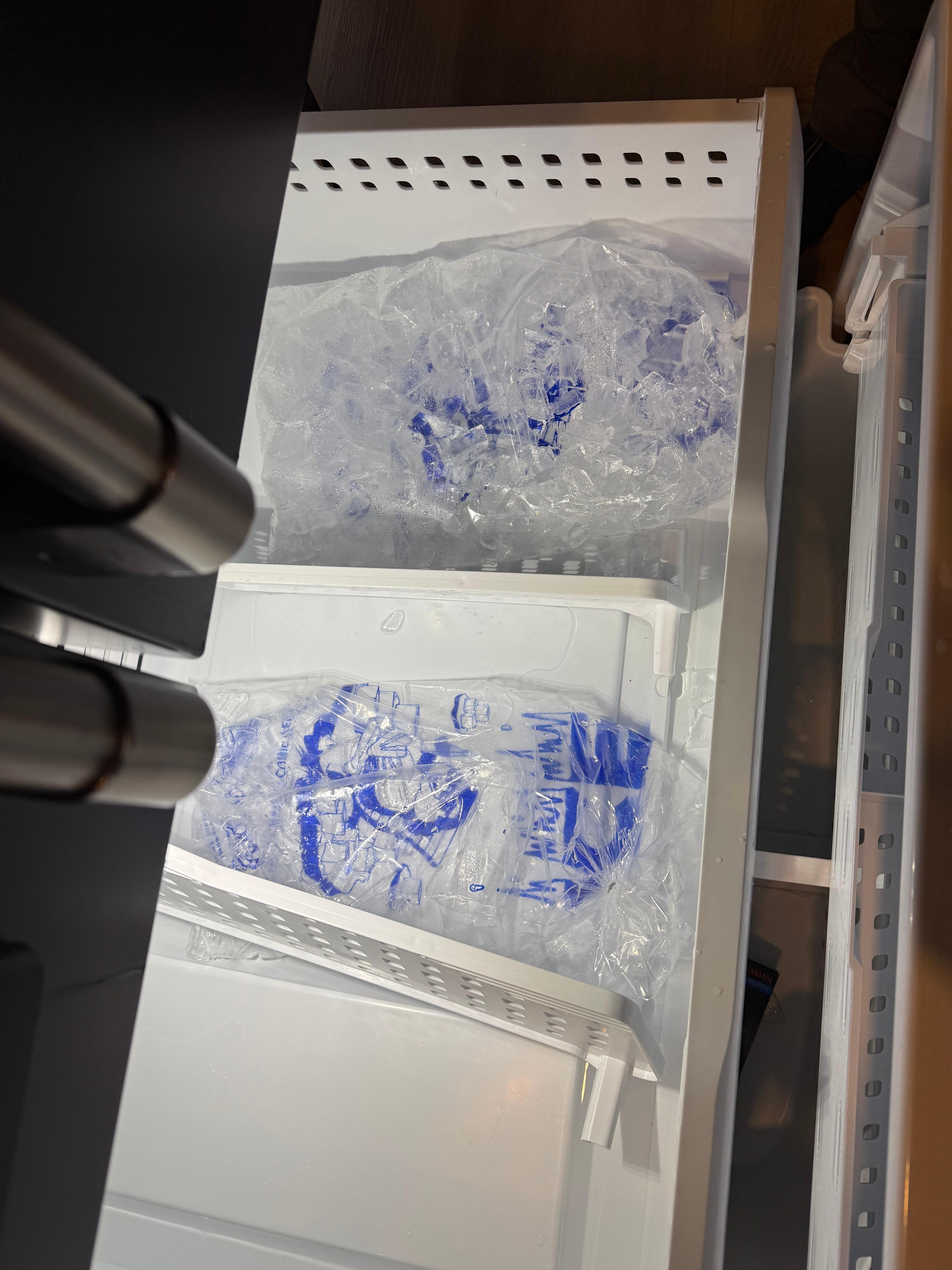 All our ice melted in the freezer.