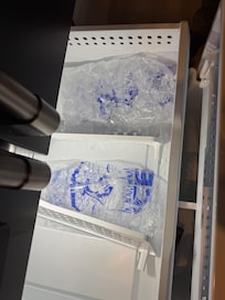 All our ice melted in the freezer.