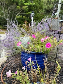 Garden next to outdoor table