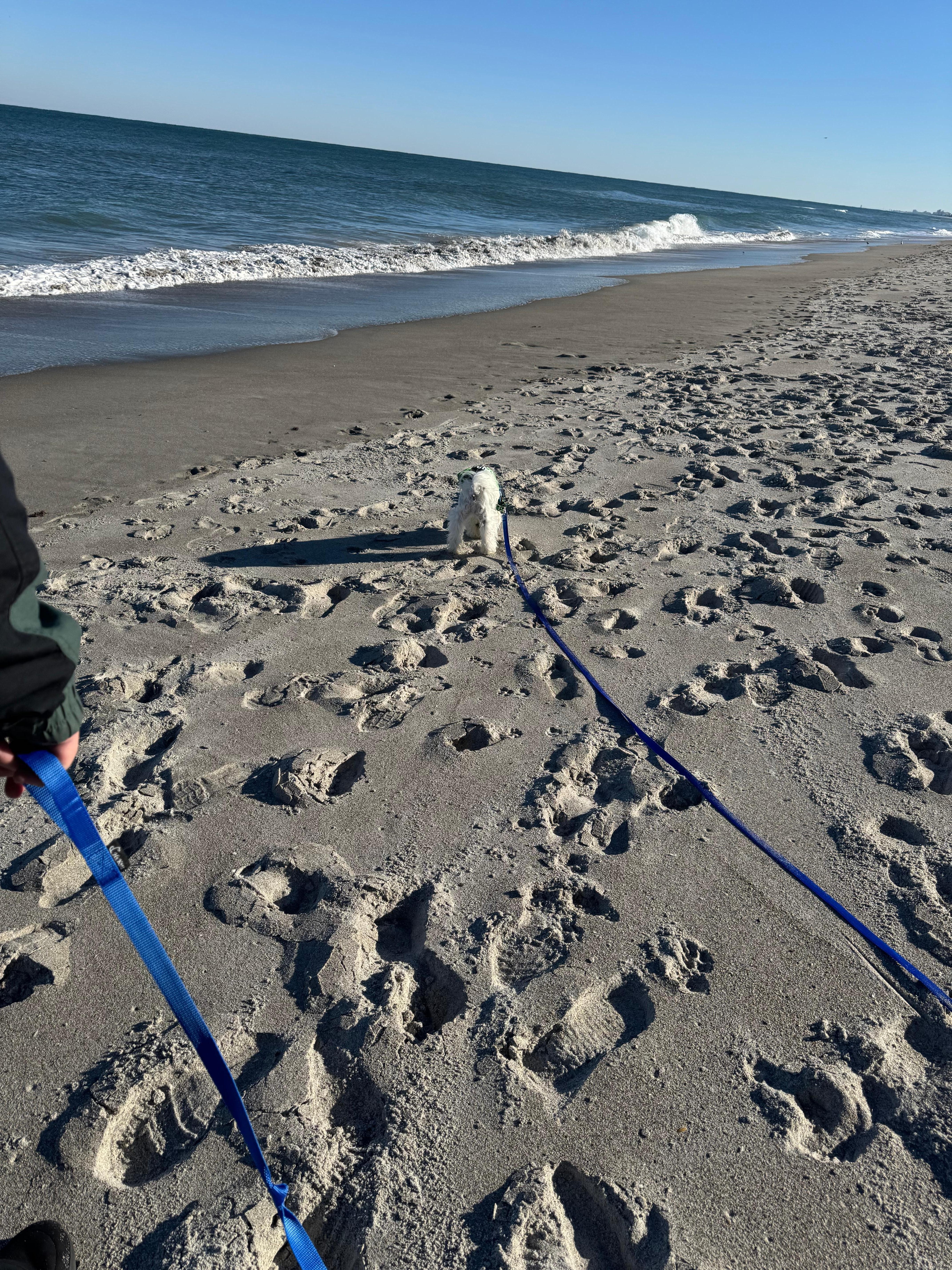 walking on the beach outside the unit