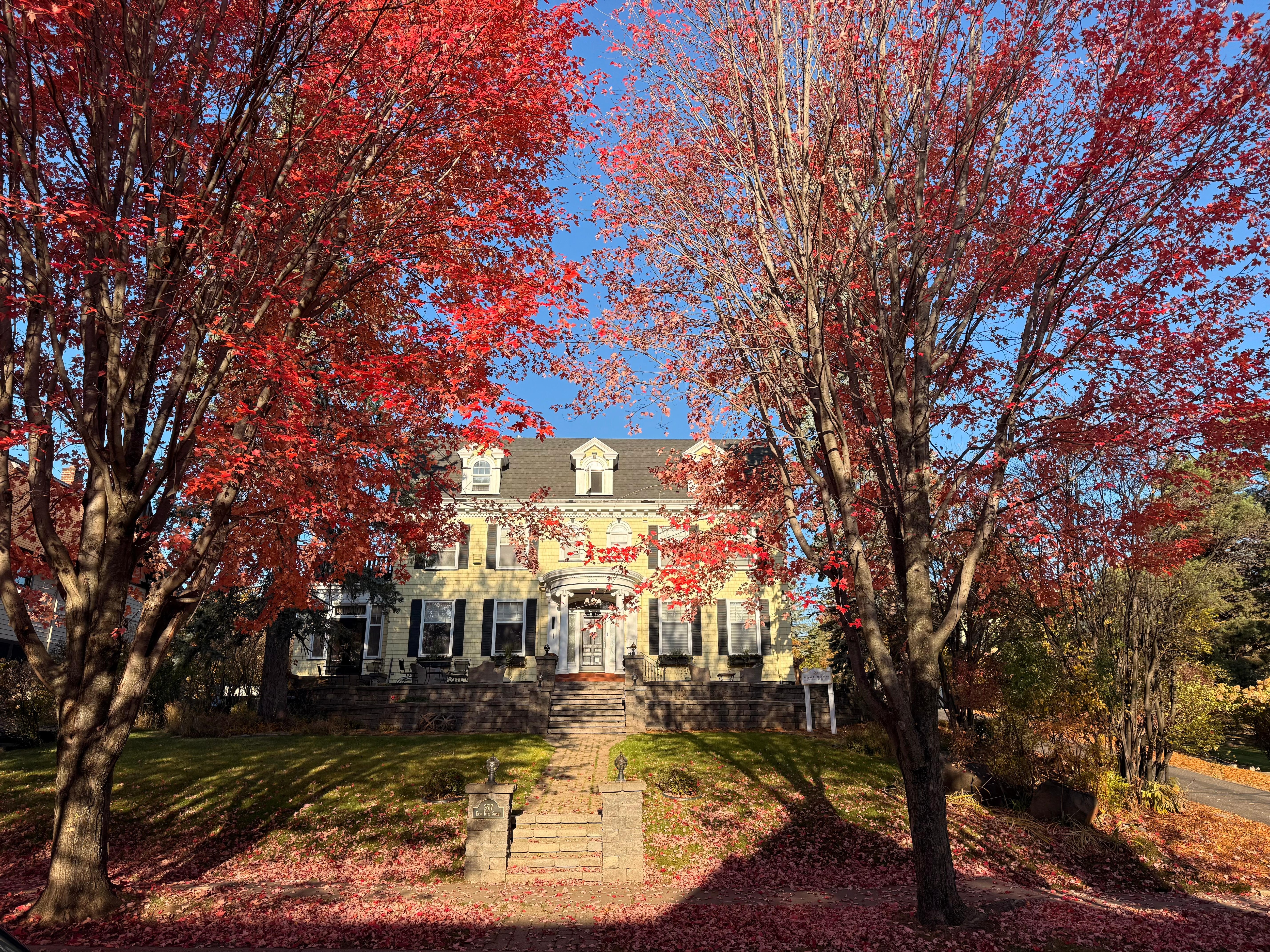 Beautiful fall colors and perfect time of year for cozying up to read by the fireplace 