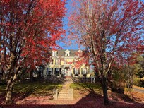 Beautiful fall colors and perfect time of year for cozying up to read by the fireplace