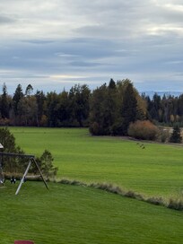 South side meadow