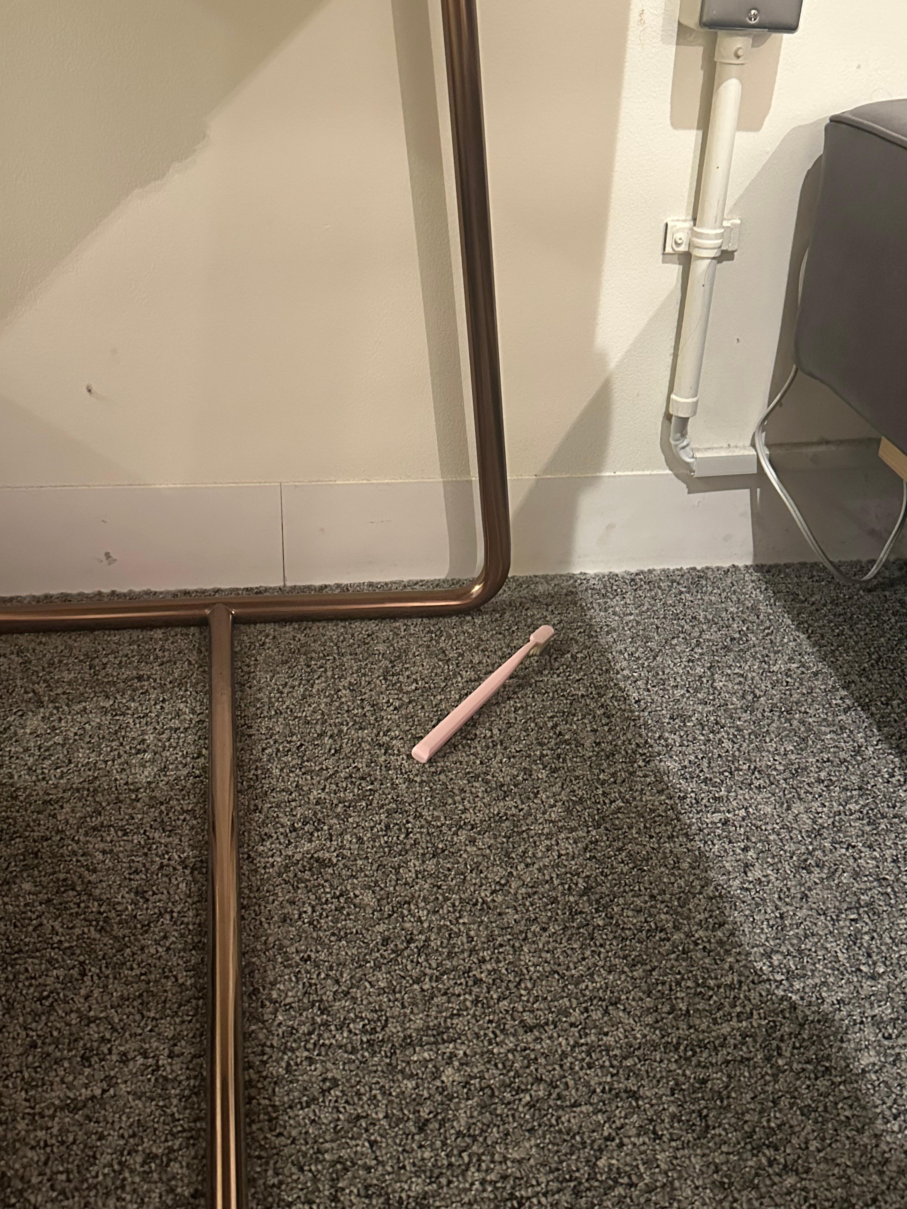 歯ブラシ？？がおちてました