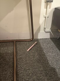 歯ブラシ??がおちてました
