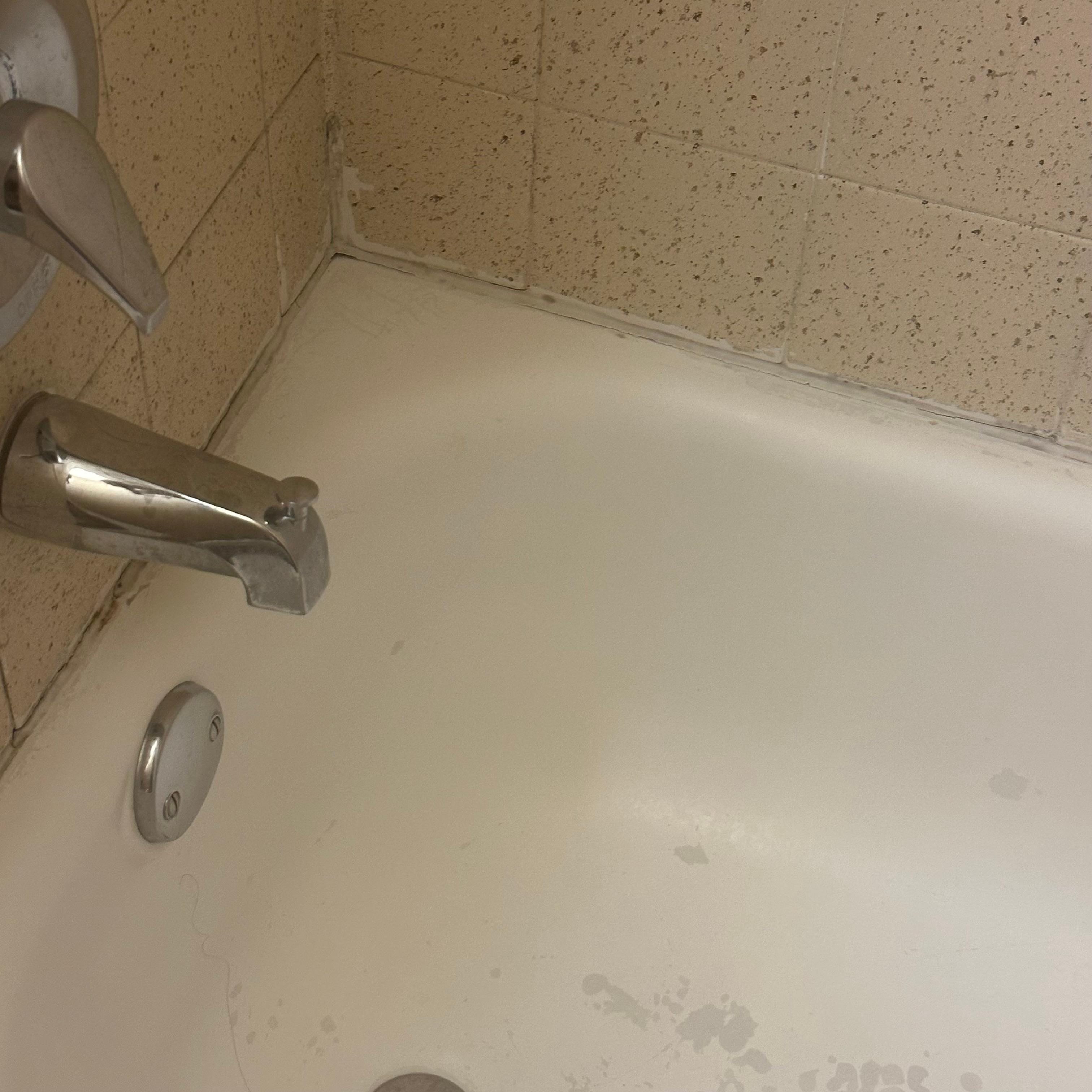 Mold around the tub 