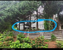 The monkey rings hanging for kids.