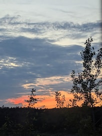 View from the side of the house