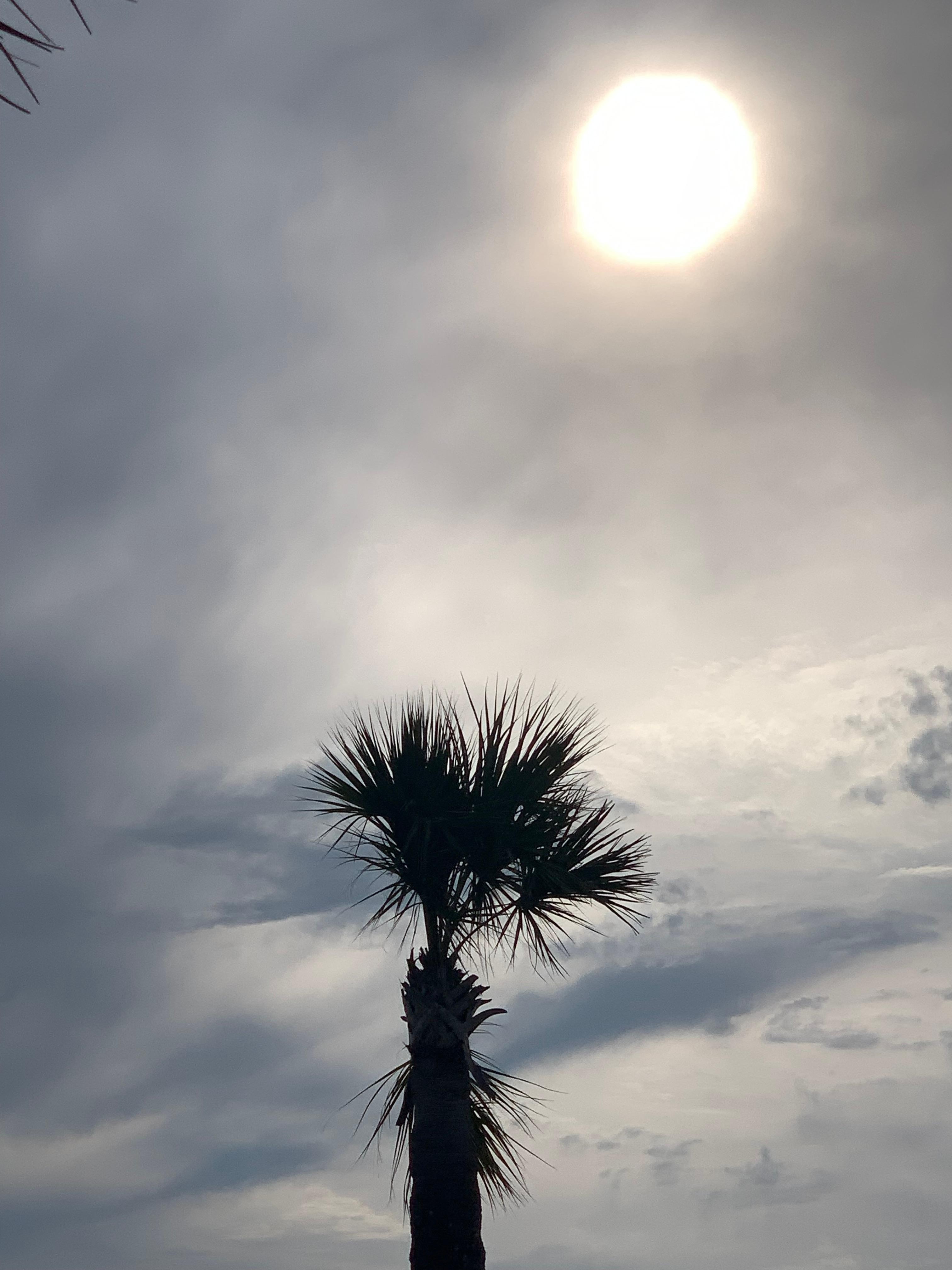Sunset beach