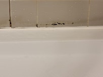 More mold
