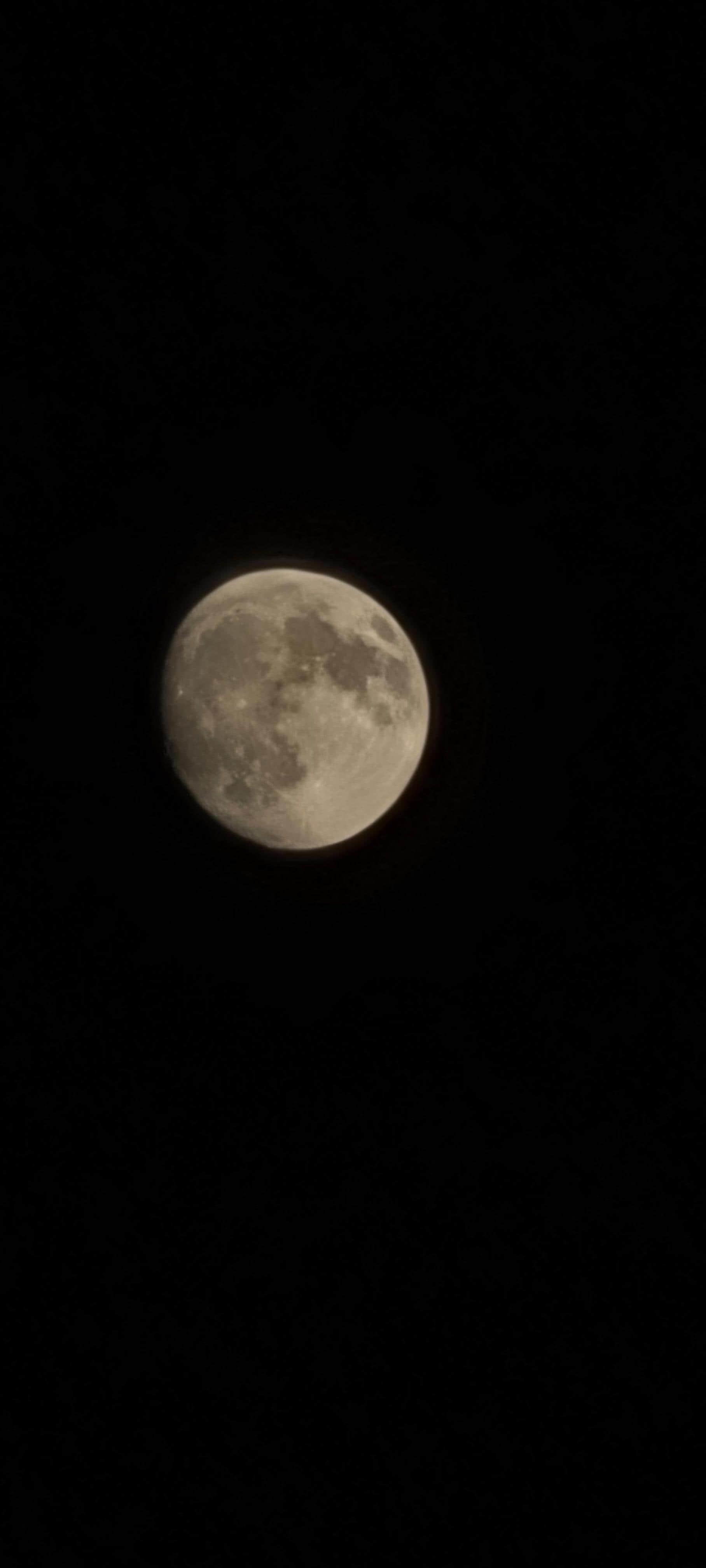 We had a full moon and were able to capture from the deck with our cellphone camera (Samsung S20)