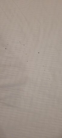 Black dirt & bugs on sheets