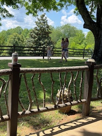 The yard area