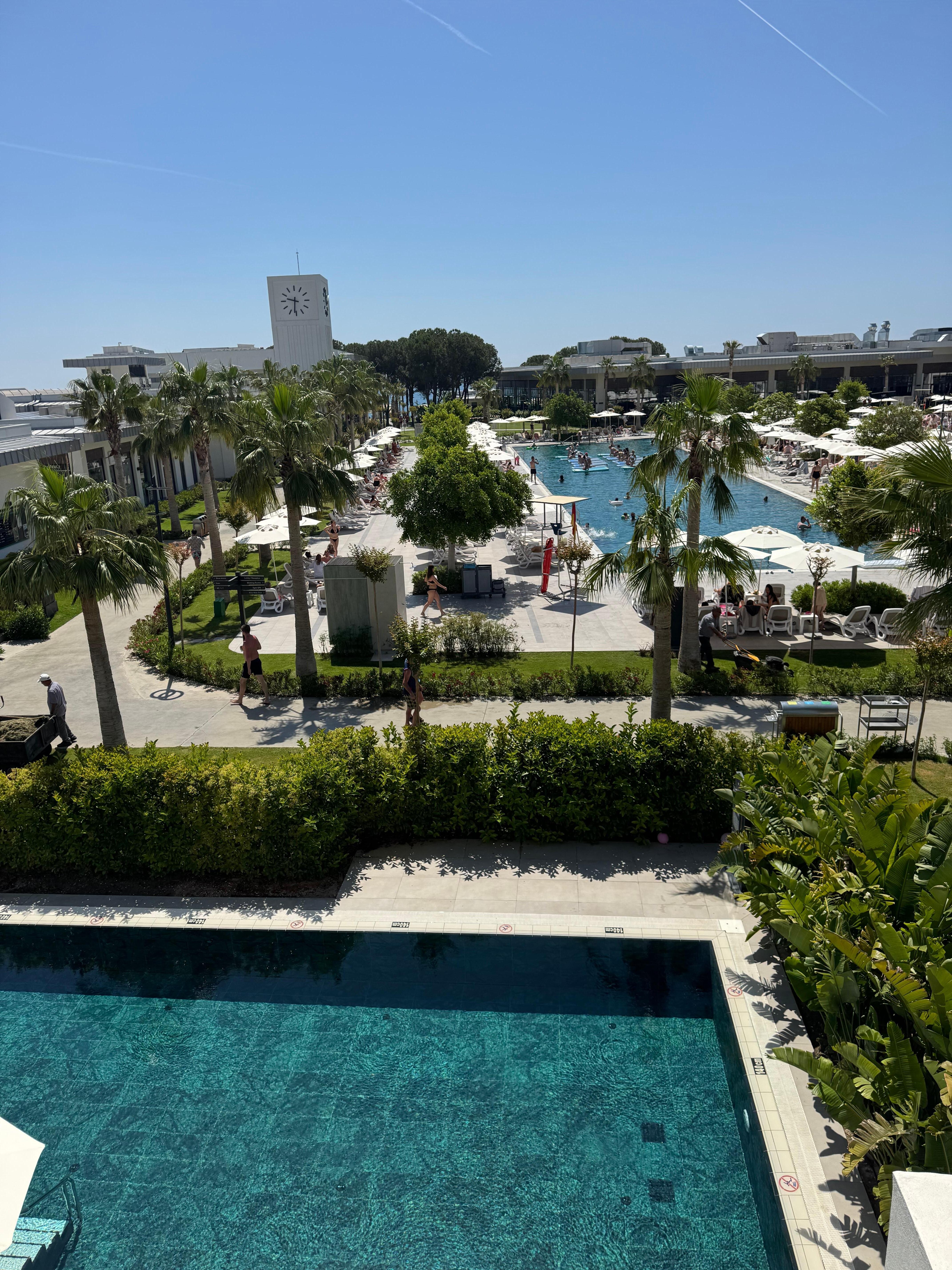 View from our family room