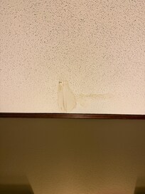 Water leak and stain on ceiling above beds.