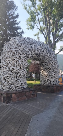 The antler Arches downtown Jackson