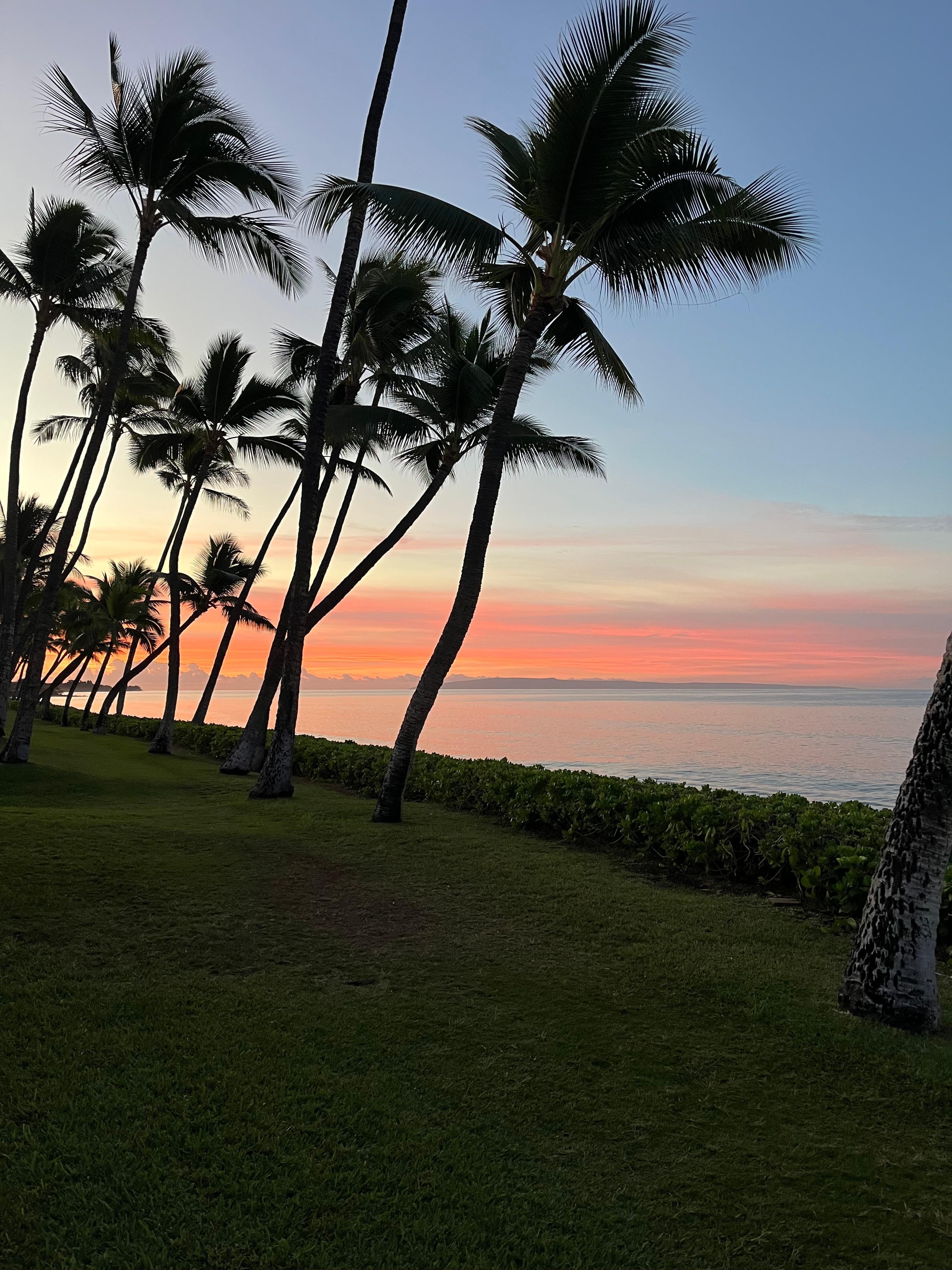 Sunrise on the lanai 