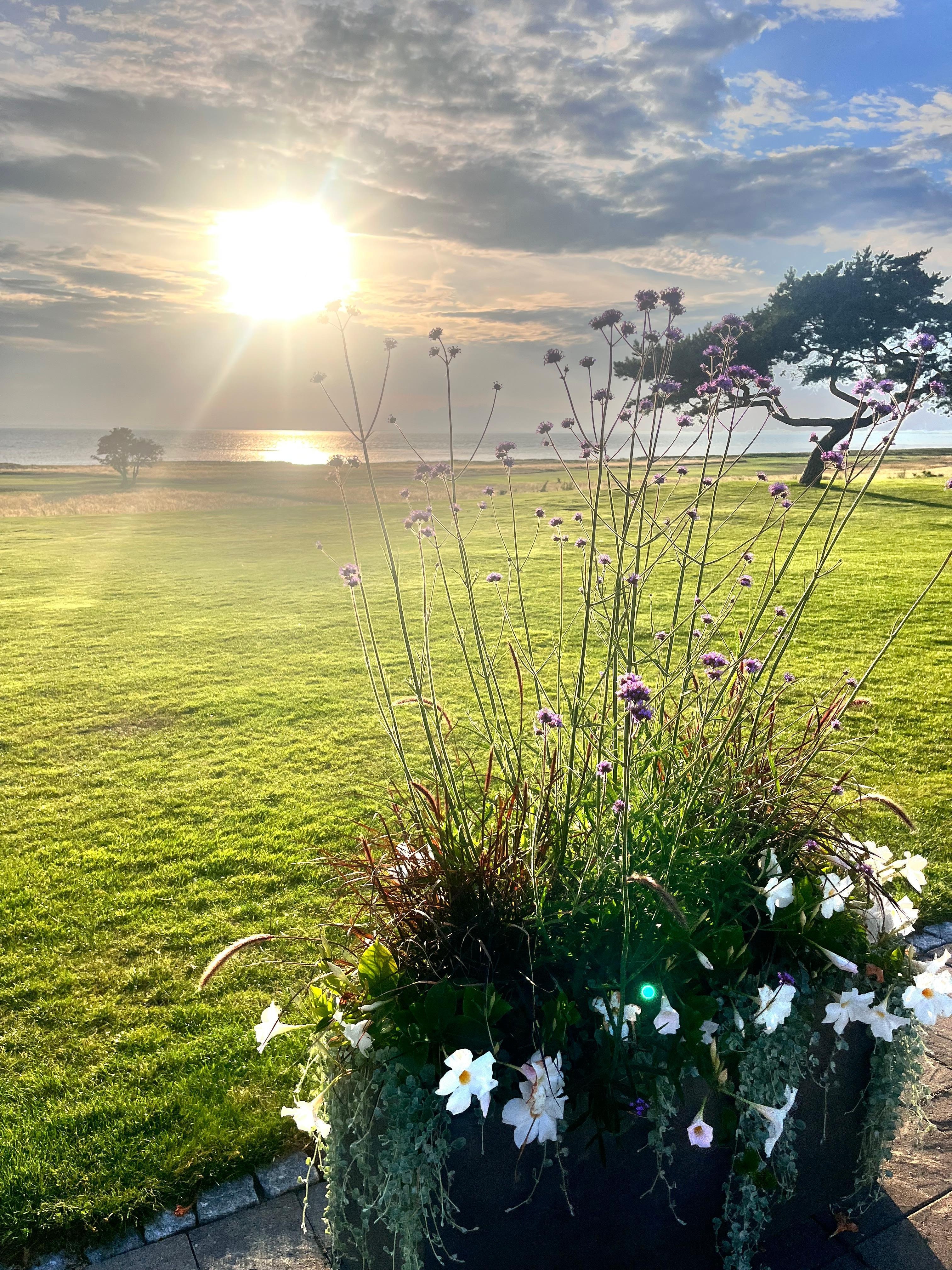Terrasse am Restaurant 