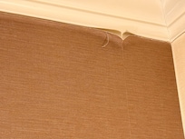 This was one of five or so peeling seams