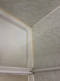 Shower mold