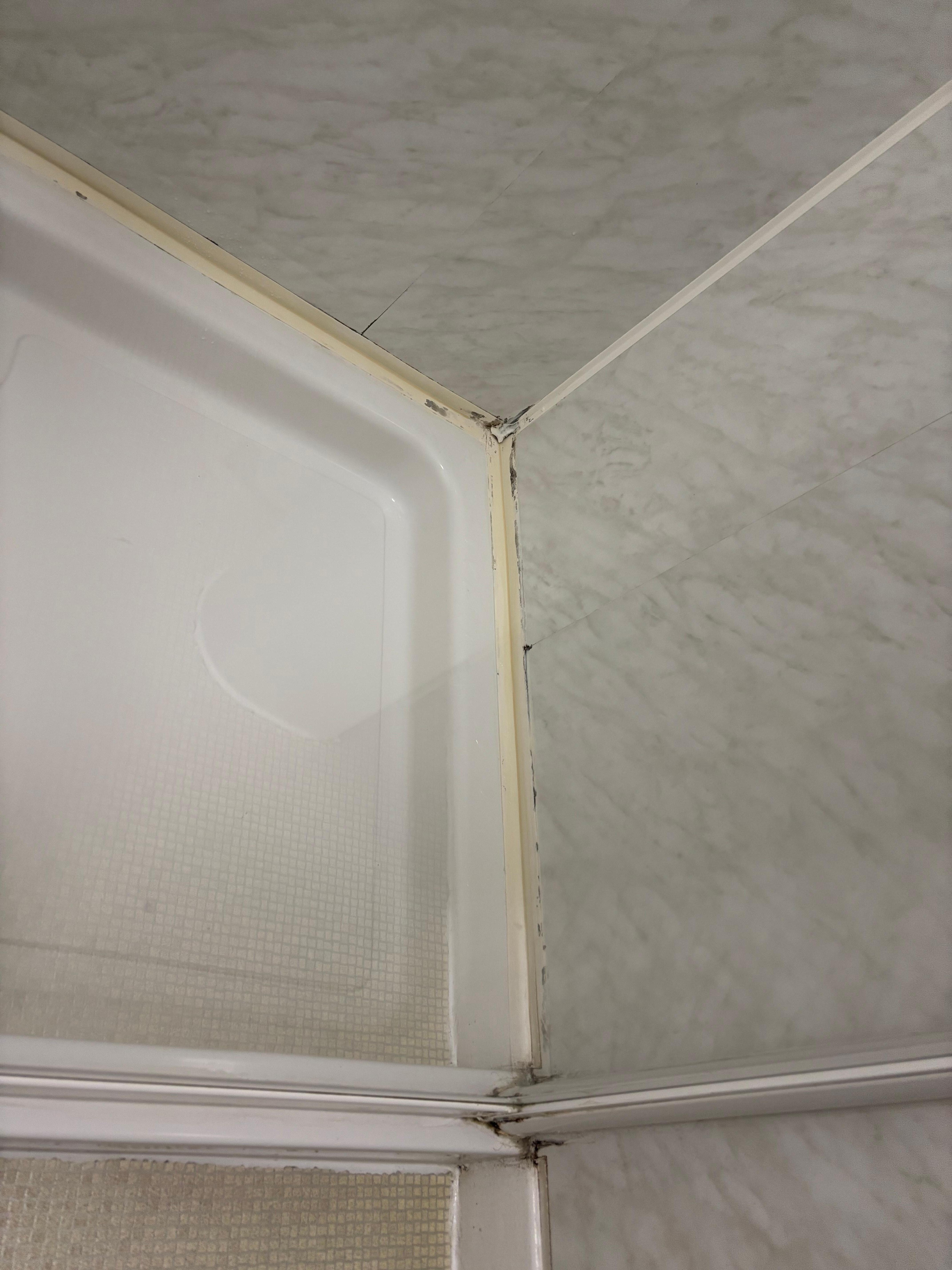 Shower mold