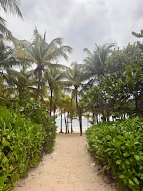 Path to the beach