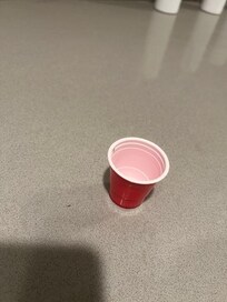 Ants in the kitchen and on the dining floor