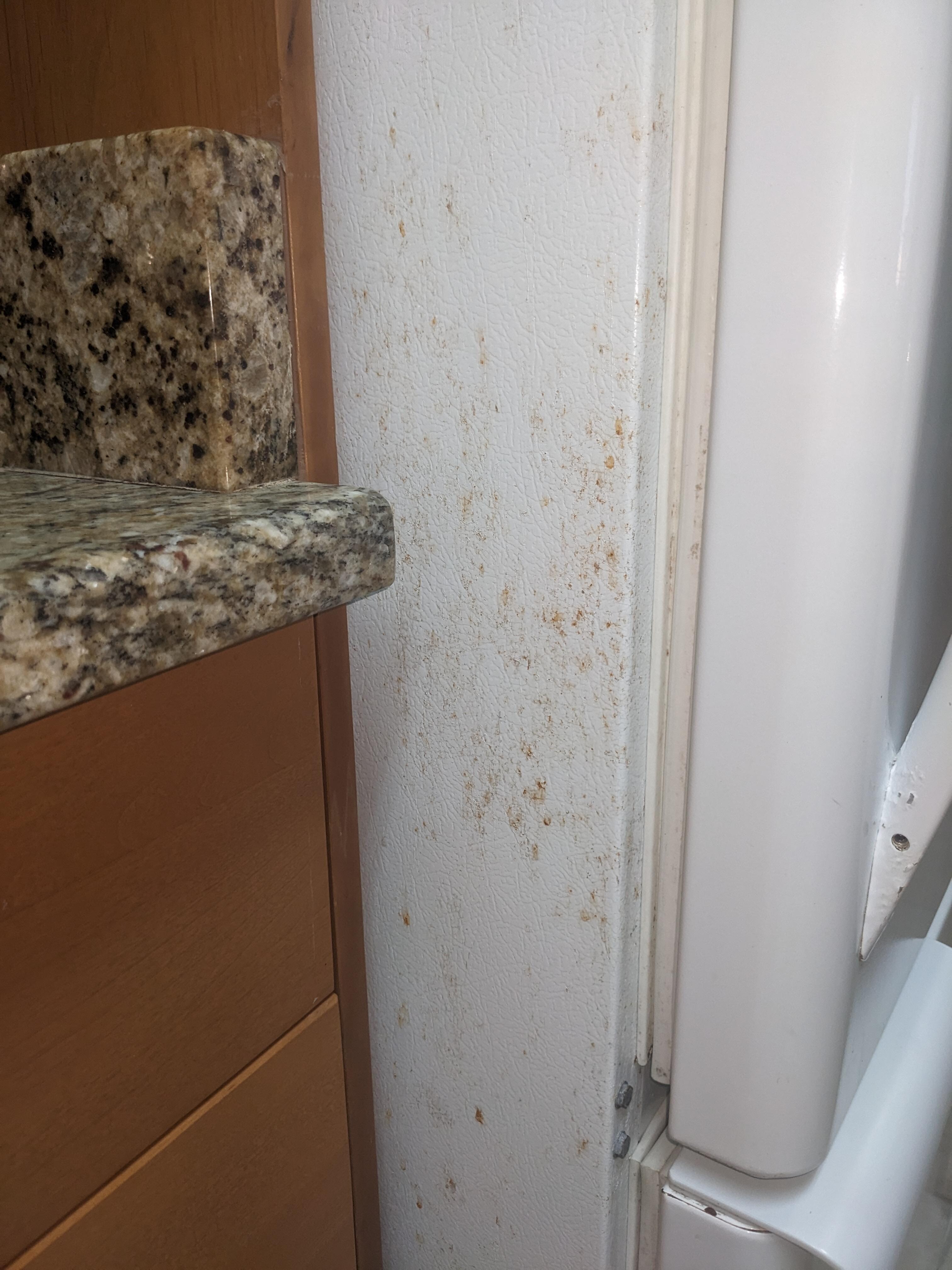 refrigerator