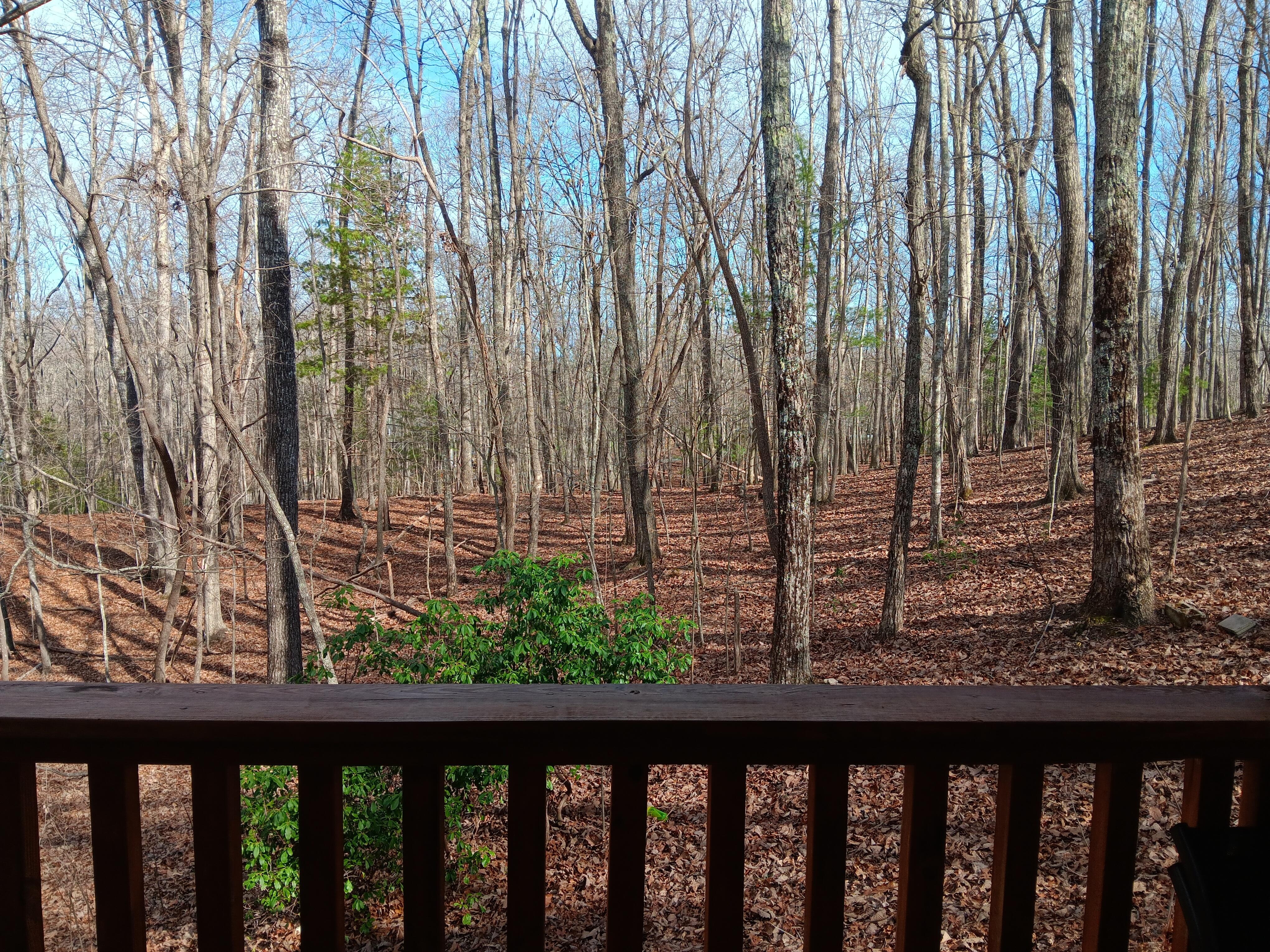 View of part of the property. 