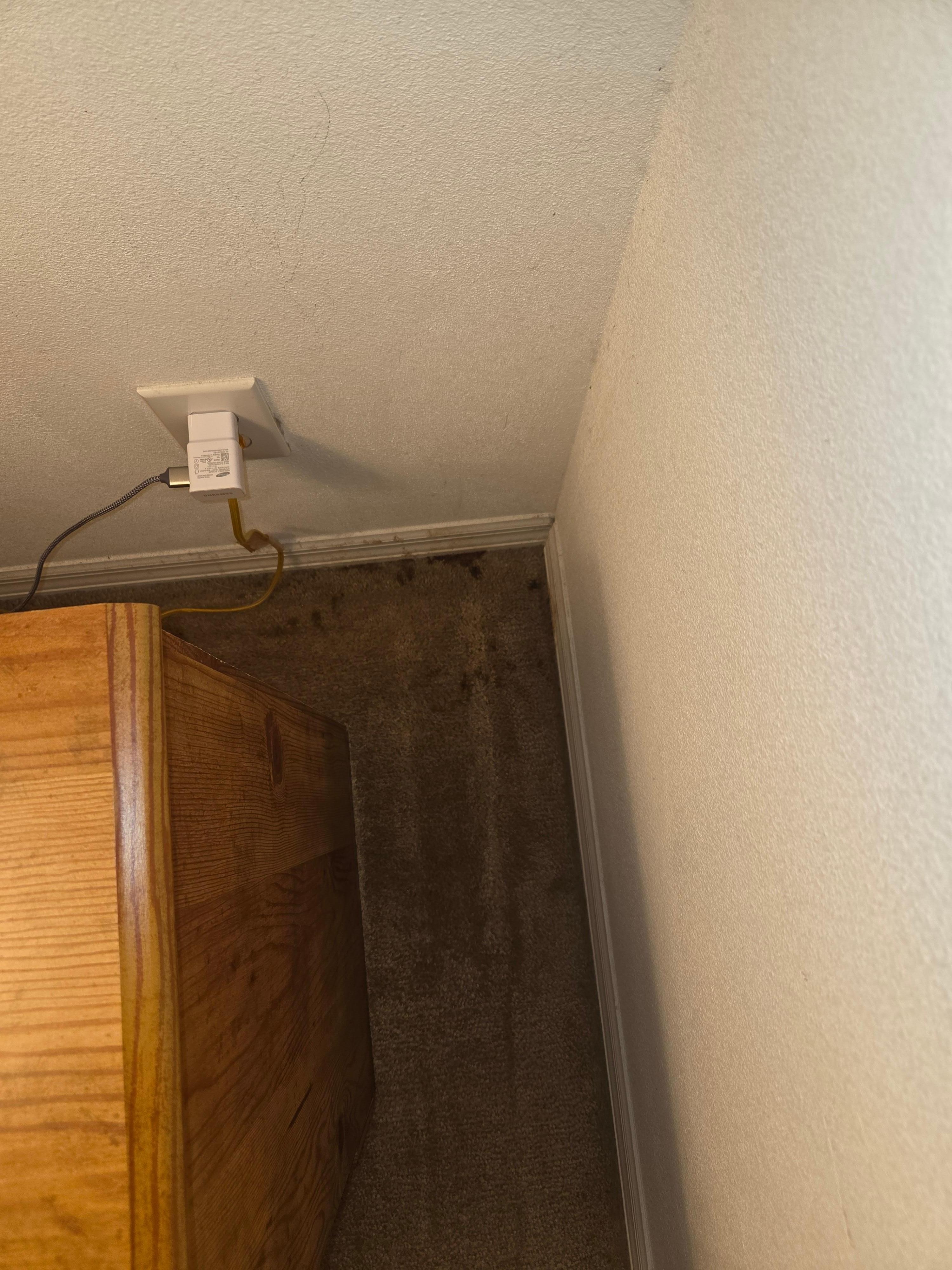 Gross deep stained carpet