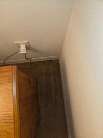 Gross deep stained carpet