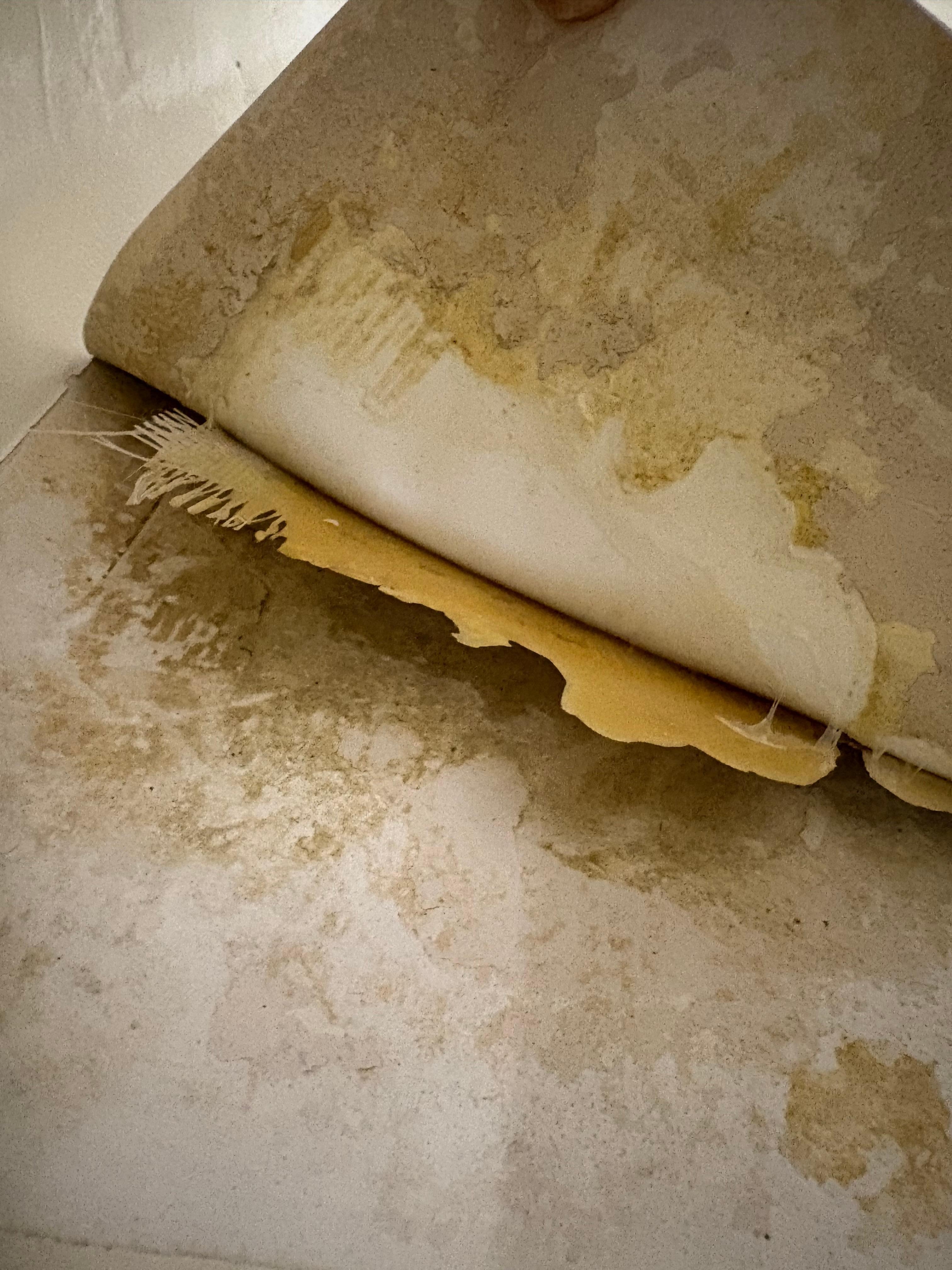 Rub patch was exposed